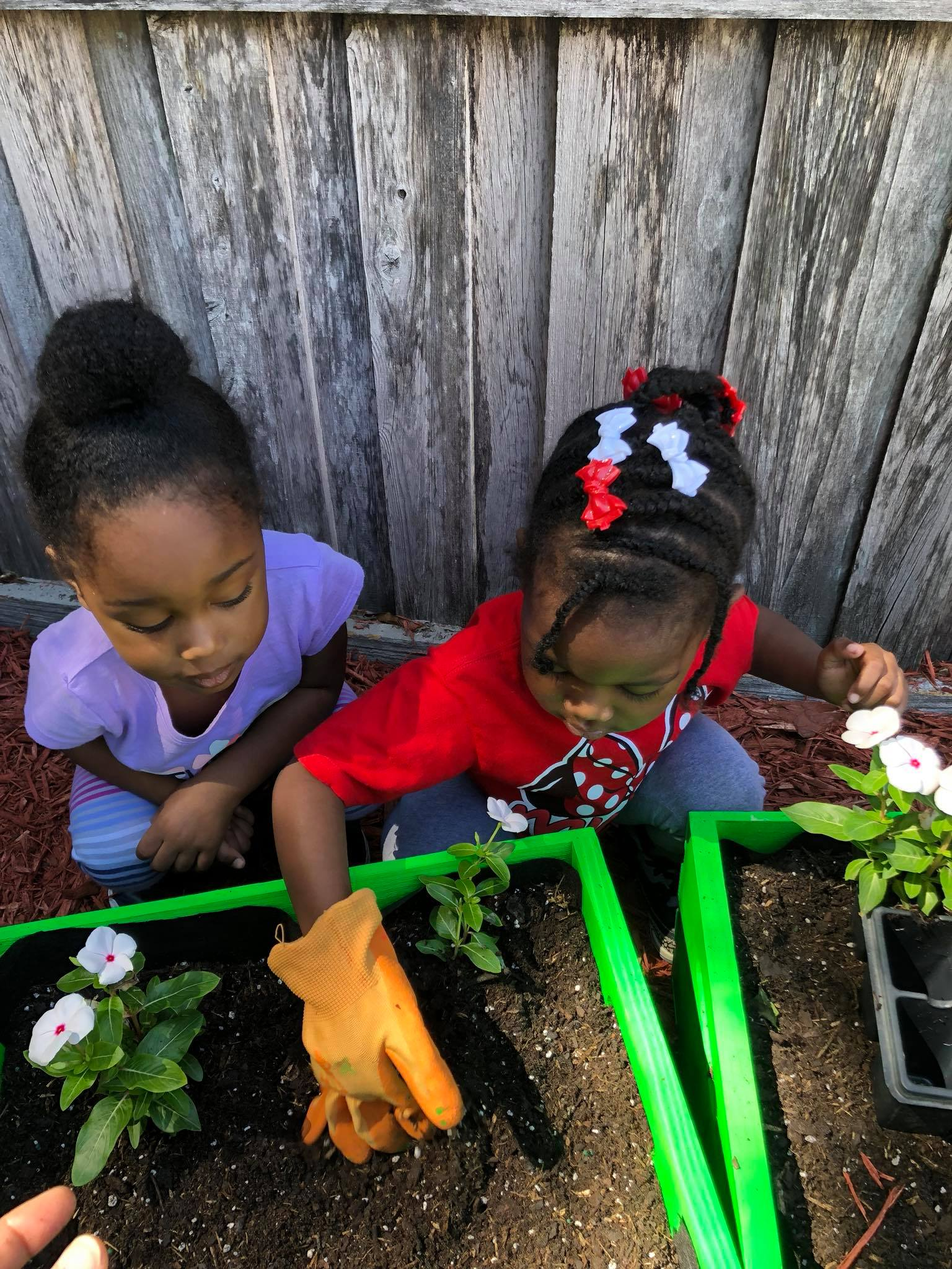 Two children planting flowers in a garden bed